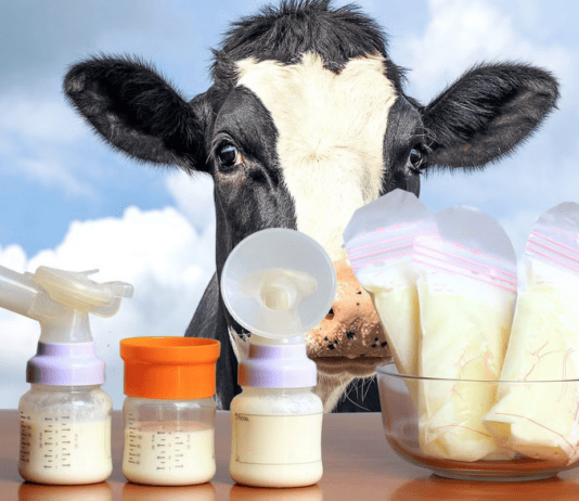 Creepy Times Scientists Tried To Play God