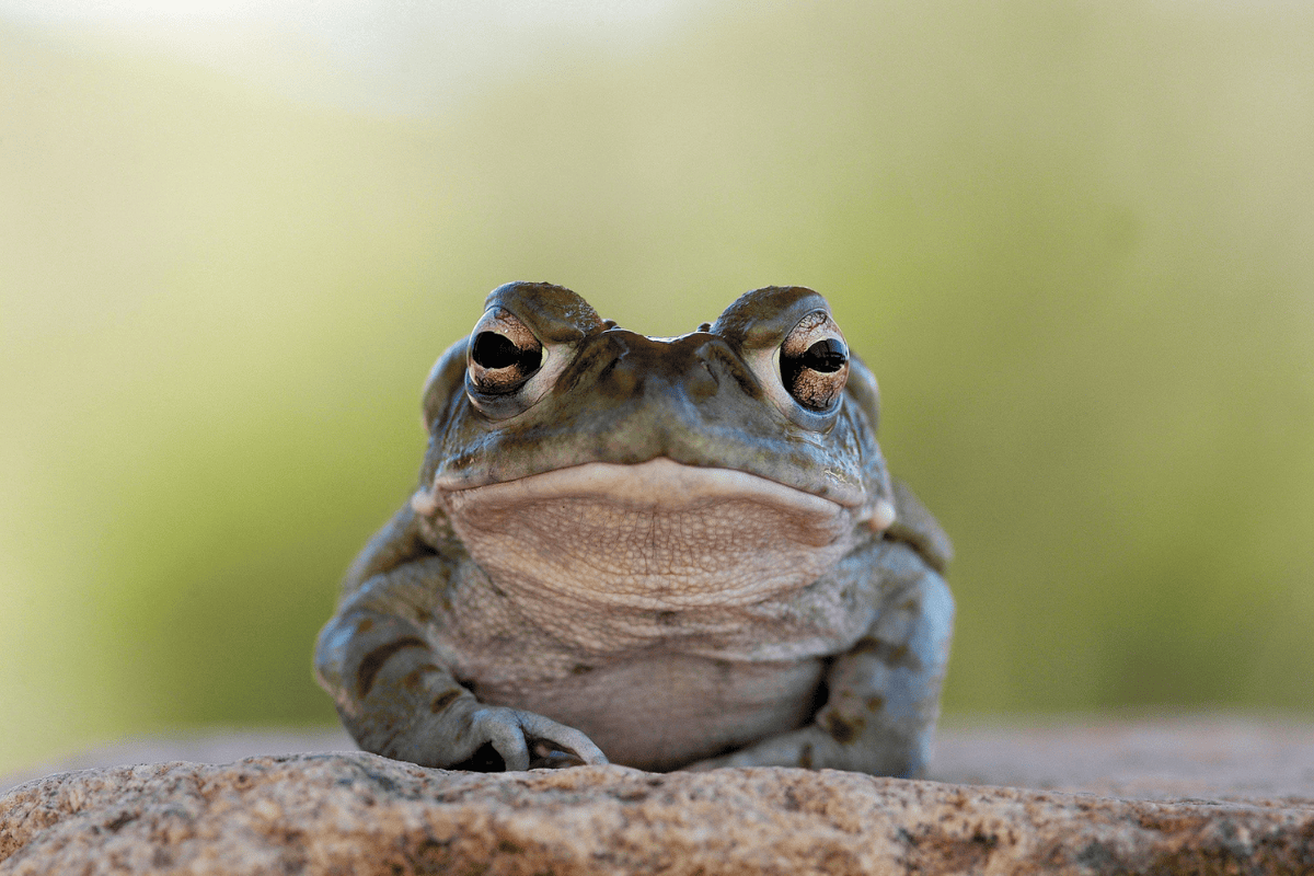 Some Of The Scariest Peeks Into The Dark Web