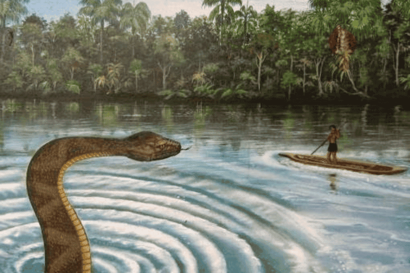 Stories of Sea Monsters That Will Make You Think Twice