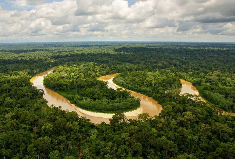 Hidden Secrets Of The Amazon Rainforest
