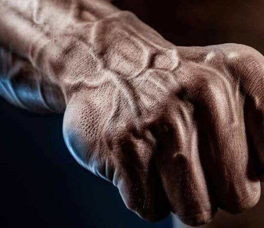 Some People Are Growing an Extra Artery – What that Means for Human Evolution
