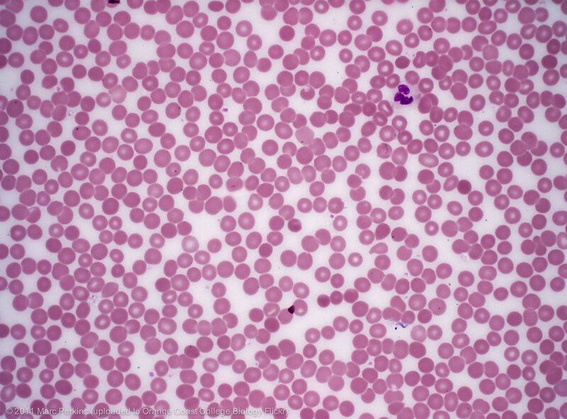 25 Science “Facts” from the 90s That Turned Out to Be Wrong