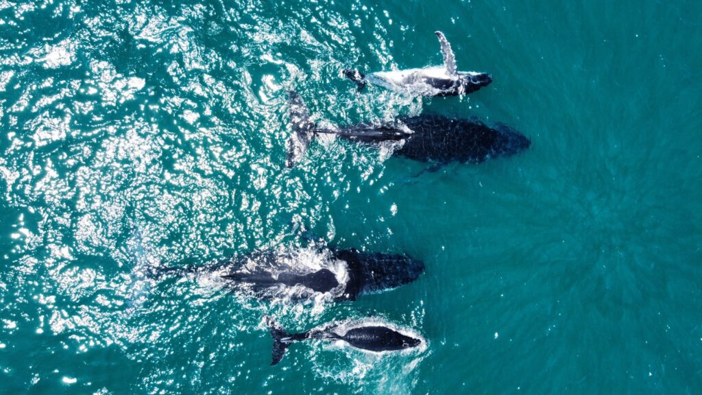 37 Recent Scientific Discoveries That Rewrote Science Textbooks