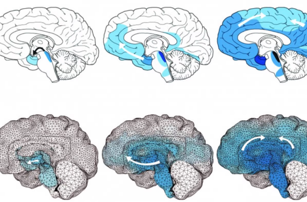 24 of the Biggest Science Milestones of 2024, Ranked by Impact