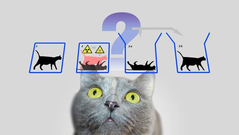 From Schrödinger to Relativity: 30 Science Concepts from The Big Bang Theory Explained