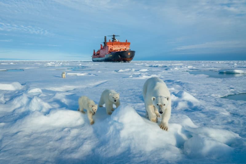 25 Unforgettable Wildlife Scenes from Siena’s Most Celebrated Photo Awards