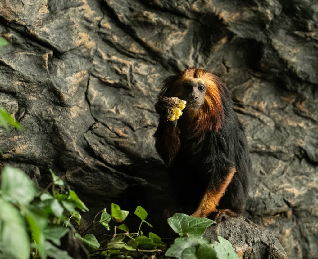 37 Recent Scientific Discoveries That Rewrote Science Textbooks