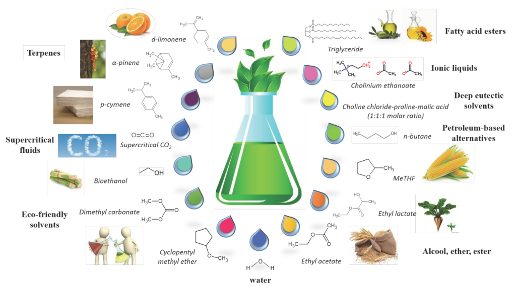 24 of the Biggest Science Milestones of 2024, Ranked by Impact