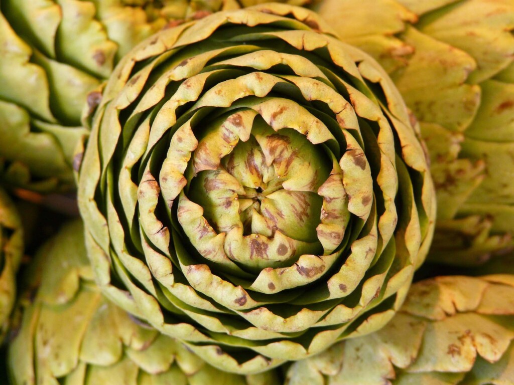 36 Mesmerizing Phenomena That Follow Fibonacci&#8217;s Mathematical Pattern