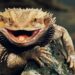 These Animals Live in The Hottest Places On Earth