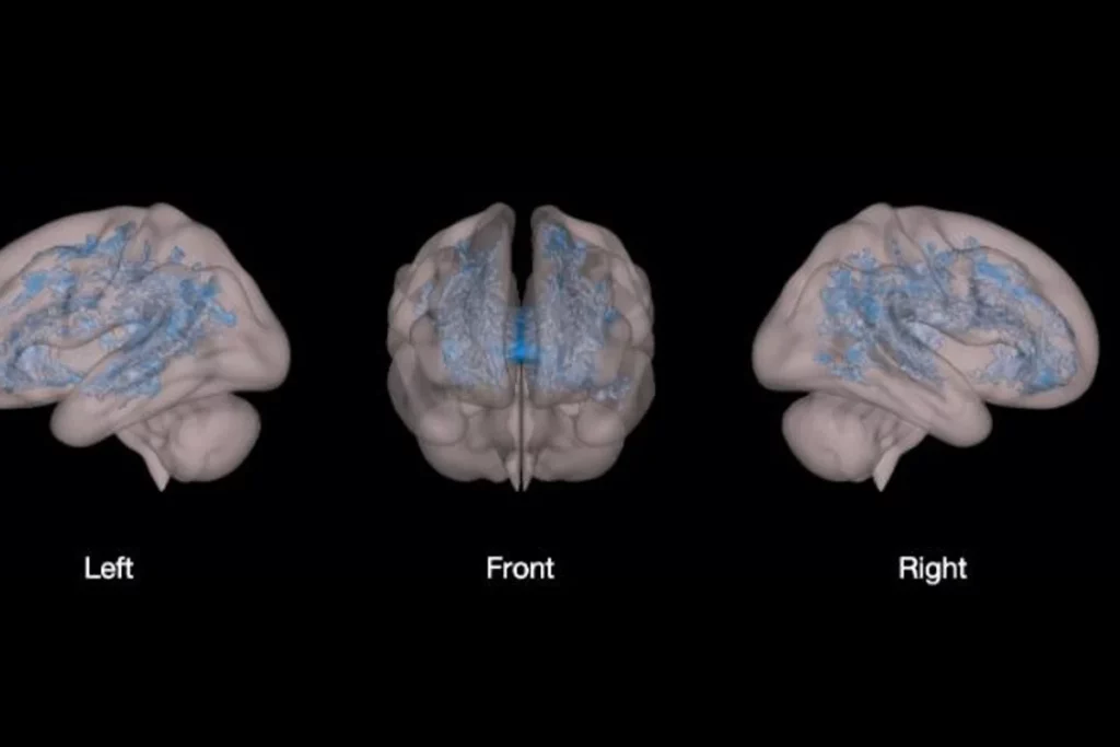 Digital Damage: 26 Ways Screens Alter Your Child&#8217;s Brain and Behavior