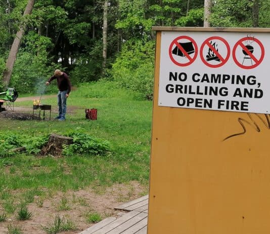 Why Wildfires Are Getting Worse: 31 Factors Behind These Devastating Infernos