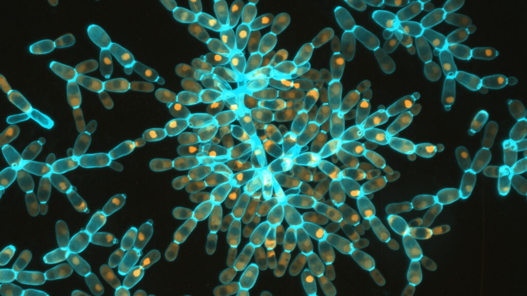 20 Great Scientific Theories Proven To Be Wrong With New Science