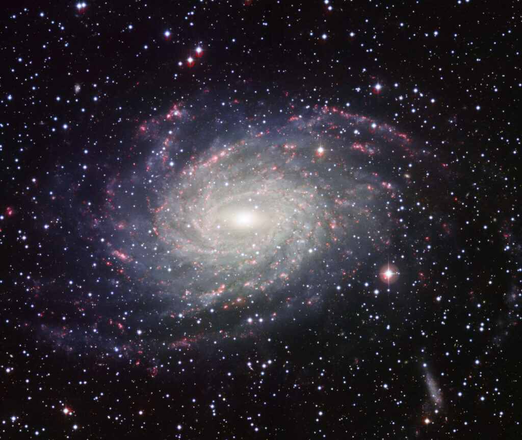 29 Times the Bible Revealed Science Years Before It Was Officially Discovered