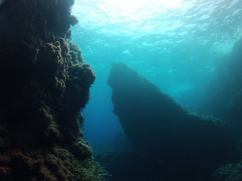 29 Times the Bible Revealed Science Years Before It Was Officially Discovered