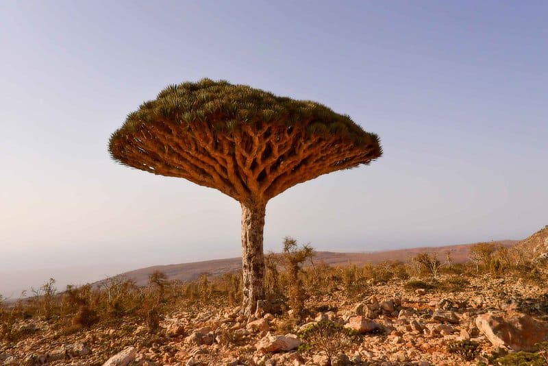 The Earth&#8217;s Wildest Places: 35 Natural Wonders Most People Have Never Seen