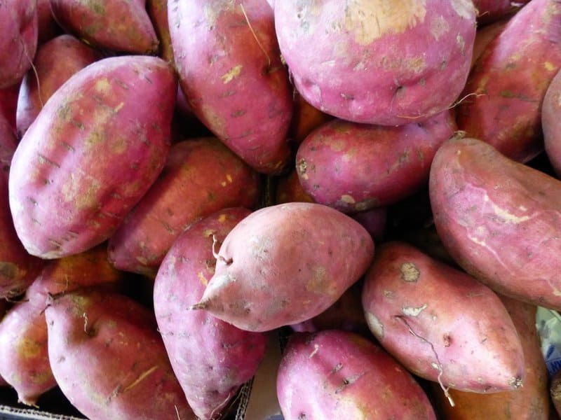 Centenarians Reveal What They’ve Been Eating to Stay Healthy for Over a Century