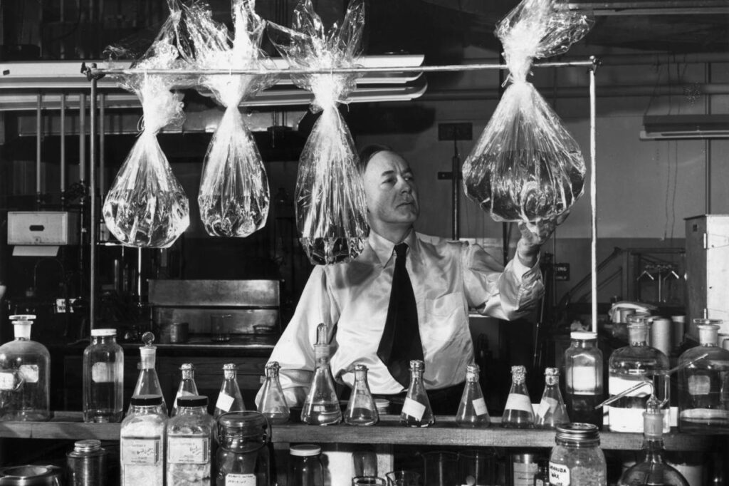 40 Popular Things That Were Invented for Totally Different Purposes