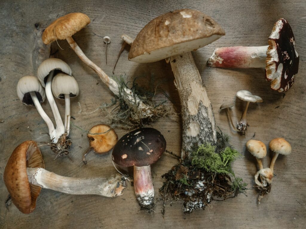 Centenarians Reveal What They’ve Been Eating to Stay Healthy for Over a Century