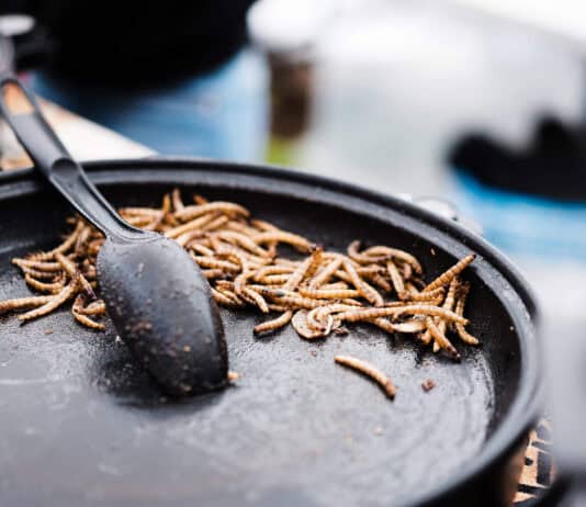 40 Shockingly Weird Delicacies That Can Leave You Hungry – or Horrified