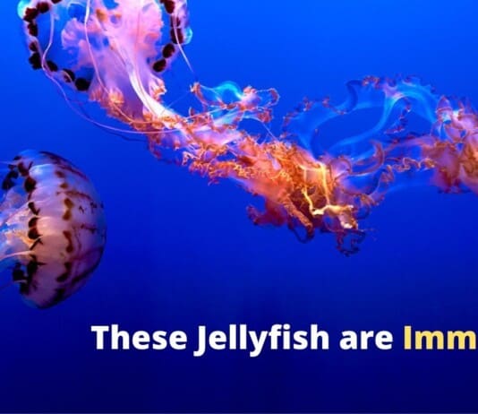 Science’s Greatest Plot Twists: 35 Facts That Prove Truth Is Stranger Than Fiction