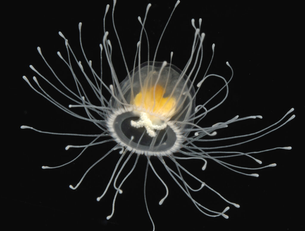 Science&#8217;s Greatest Plot Twists: 35 Facts That Prove Truth Is Stranger Than Fiction