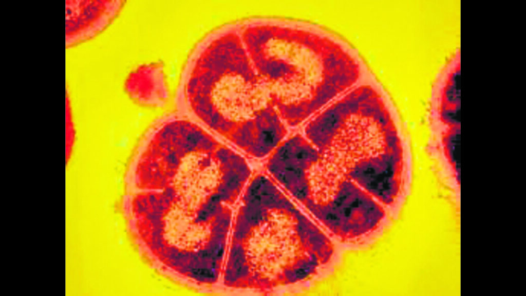 Science&#8217;s Greatest Plot Twists: 35 Facts That Prove Truth Is Stranger Than Fiction