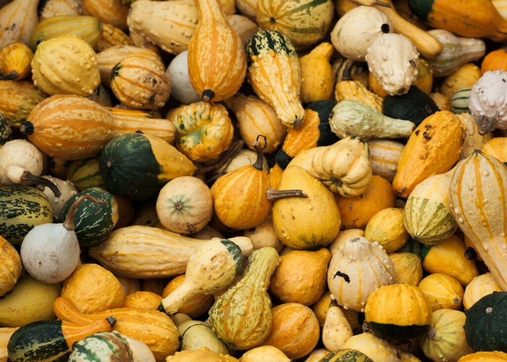 Centenarians Reveal What They’ve Been Eating to Stay Healthy for Over a Century