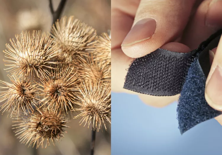 40 Popular Things That Were Invented for Totally Different Purposes