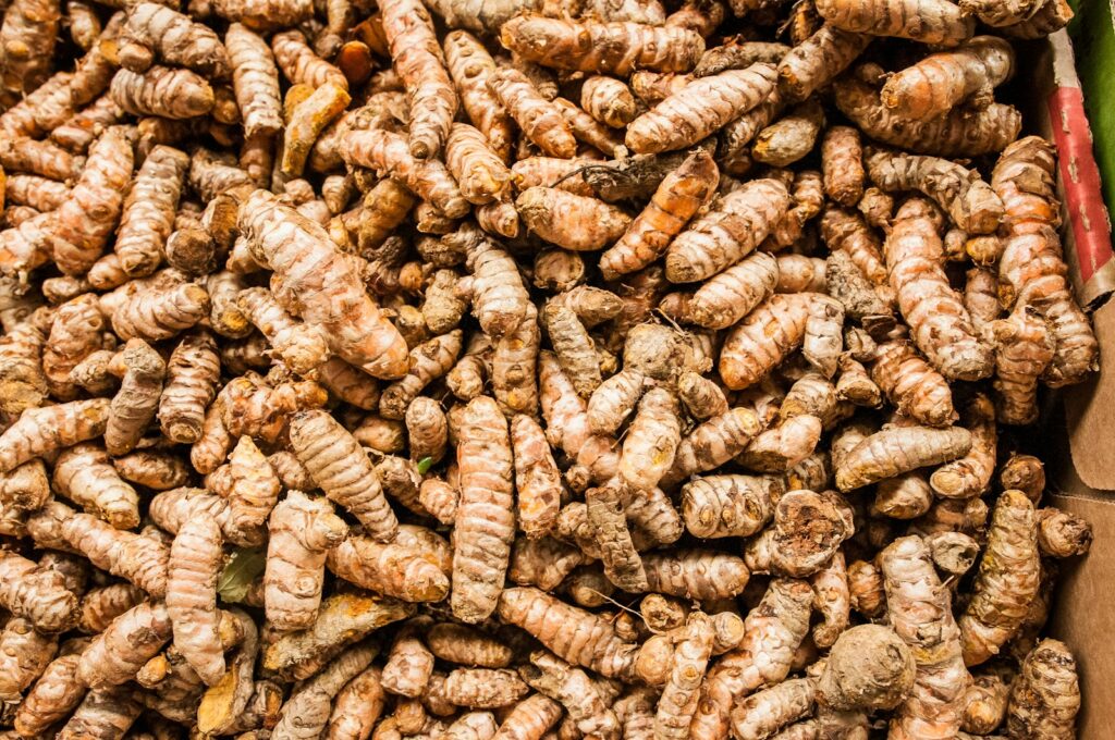 Centenarians Reveal What They’ve Been Eating to Stay Healthy for Over a Century