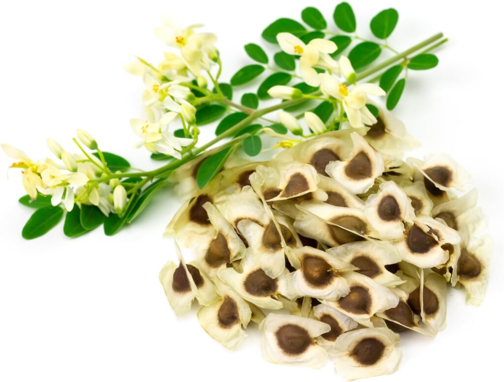 Are These Worth The Risk? The Most Toxic Foods People Still Dare To Eat