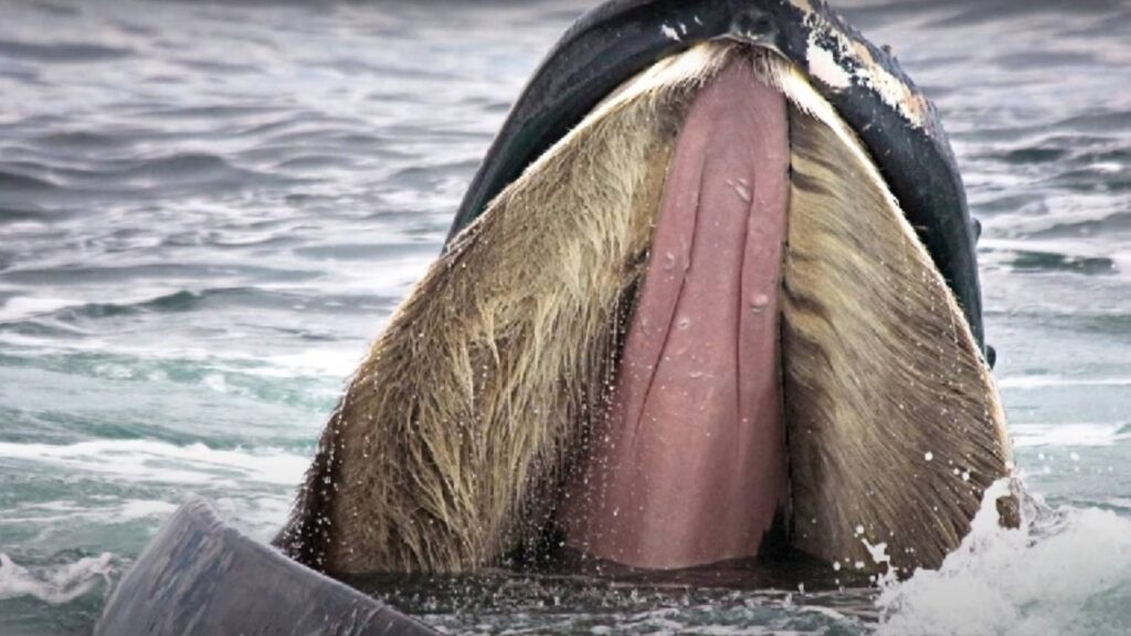 38 Weird Facts That Will Make You The Smartest Person In The Room