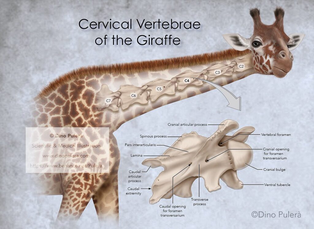 38 Weird Facts That Will Make You the Smartest Person in the Room