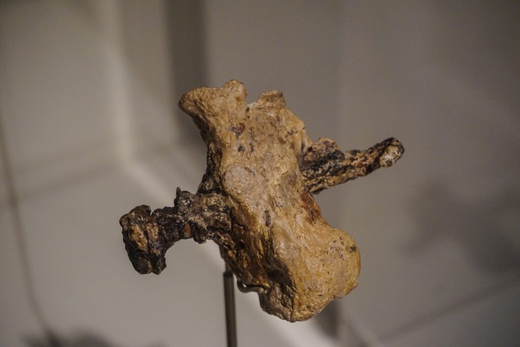 35 Archaeological Finds That Verify Christian Scriptures