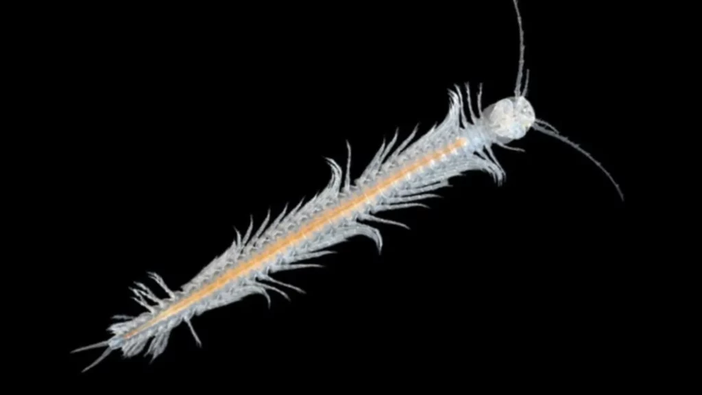 Dark Dwellers: 32 Blind Animals That Turned Darkness Into Their Superpower