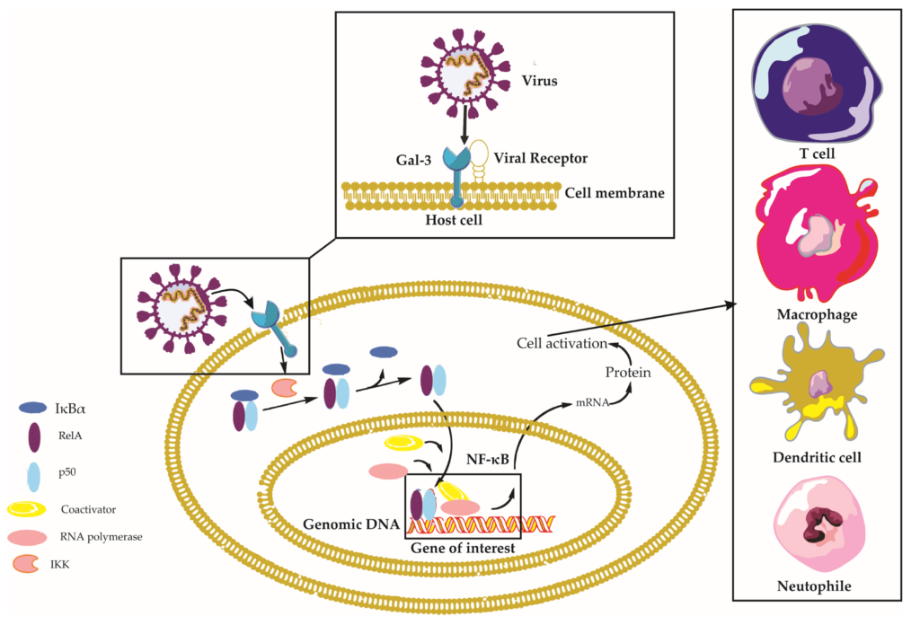 25 Revolutionary Liver Treatments Saving Lives Right Now