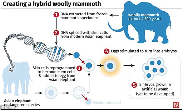 The Dire Wolf Was Just the Beginning: Scientists are Reviving These 30 Extinct Species Next