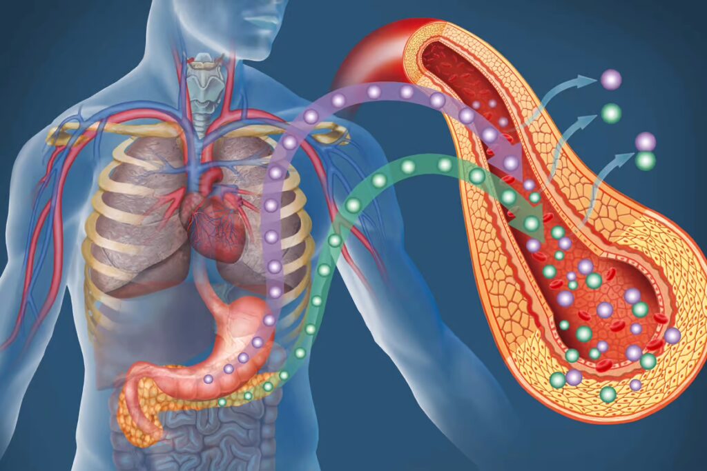 The Organ Crisis Is Over &#8211; Thanks to These 25 Genetic Transformations in Pigs