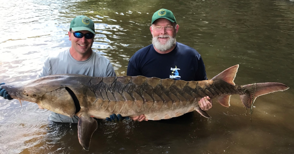 You&#8217;ll Need Extraordinary Luck to Spot America&#8217;s Most Elusive Animals