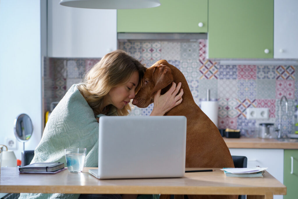 Pet Empathy Revealed: 25 Scientific Discoveries About How Cats and Dogs Read Your Feelings