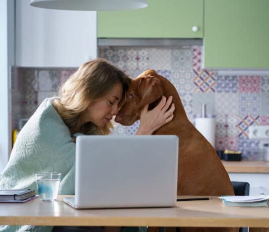 Pet Empathy Revealed: 25 Scientific Discoveries About How Cats and Dogs Read Your Feelings