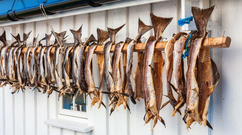 The 20 Coldest Inhabited Places on Earth, Ranked by Temperature Extremes