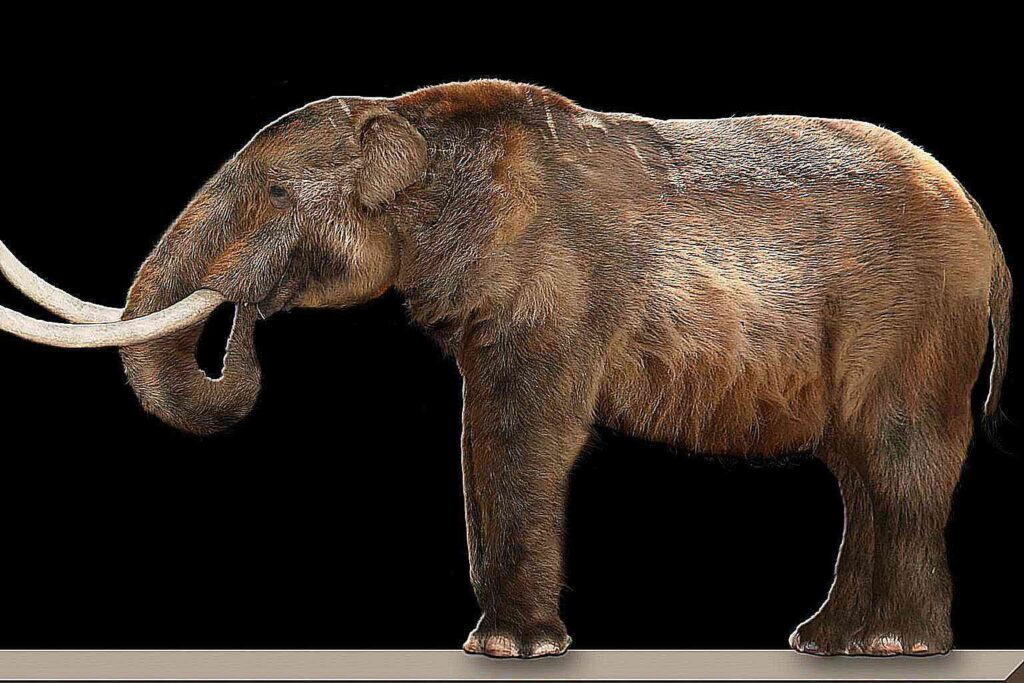 The Dire Wolf Was Just the Beginning: Scientists are Reviving These 30 Extinct Species Next