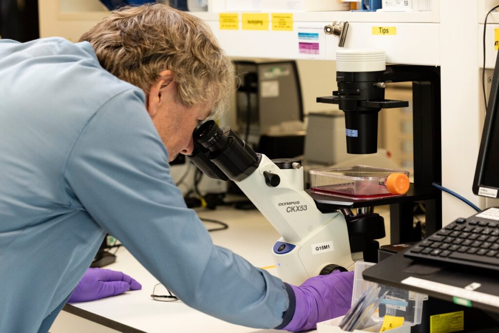 The Organ Crisis Is Over &#8211; Thanks to These 25 Genetic Transformations in Pigs