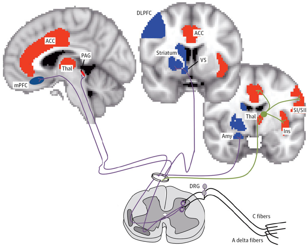 The Humbling Truth: The 35 Biggest Questions Science Can&#8217;t Answer Just Yet