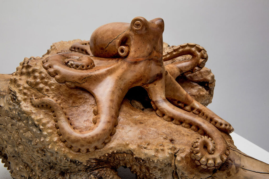 15 Signs That Octopuses Might Actually Be Aliens