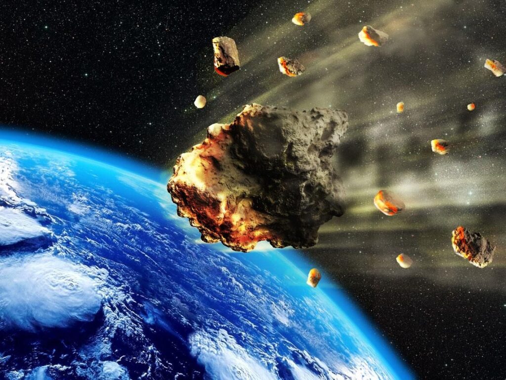 15 Signs That Octopuses Might Actually Be Aliens