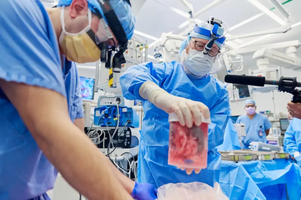 The Organ Crisis Is Over &#8211; Thanks to These 25 Genetic Transformations in Pigs