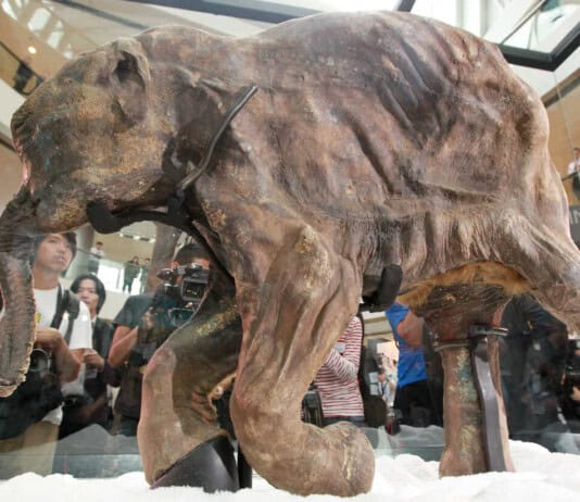 Genesis Uncovered: Archeologists Discovered 40 Artifacts That Confirm Noah’s Flood
