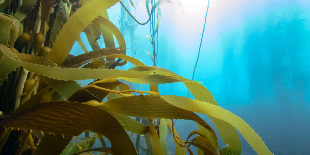 25 Revolutionary Liver Treatments Saving Lives Right Now